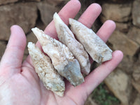 Natural Drusy Quartz Coated Calcite Pseudomorph Crystals x 20 From Lesotho