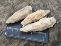 Natural Drusy Quartz Coated Calcite Pseudomorph Crystals x 20 From Lesotho