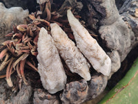 Natural Drusy Quartz Coated Calcite Pseudomorph Crystals x 20 From Lesotho