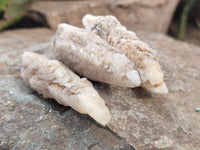 Natural Drusy Quartz Coated Calcite Pseudomorph Crystals x 20 From Lesotho