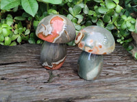 Polished Polychrome Jasper Mushrooms x 2 From Mahajanga, Madagascar