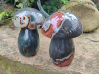 Polished Polychrome Jasper Mushrooms x 2 From Mahajanga, Madagascar