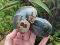 Polished Polychrome Jasper Mushrooms x 2 From Mahajanga, Madagascar