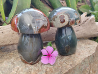 Polished Polychrome Jasper Mushrooms x 2 From Mahajanga, Madagascar