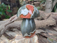 Polished Polychrome Jasper Mushrooms x 2 From Mahajanga, Madagascar