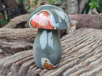 Polished Polychrome Jasper Mushrooms x 2 From Mahajanga, Madagascar