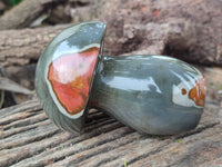 Polished Polychrome Jasper Mushrooms x 2 From Mahajanga, Madagascar