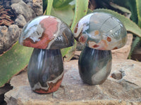 Polished Polychrome Jasper Mushrooms x 2 From Mahajanga, Madagascar