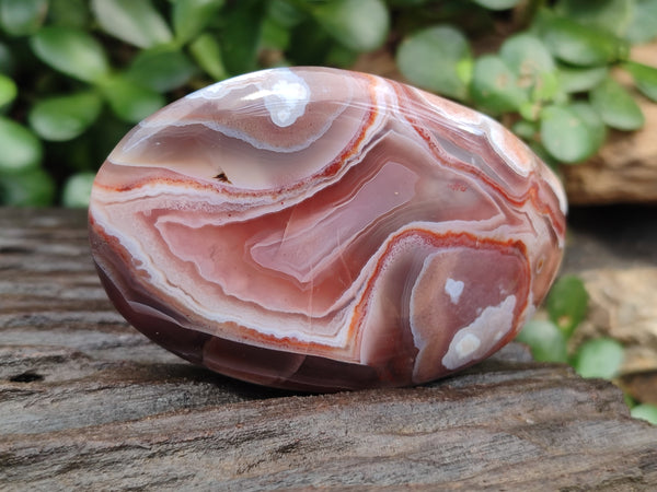 Polished Red Sashe River Agate Galet / Palmstones x 8 From Zimbabwe