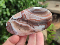 Polished Red Sashe River Agate Galet / Palmstones x 8 From Zimbabwe