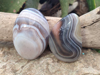 Polished Red Sashe River Agate Galet / Palmstones x 8 From Zimbabwe