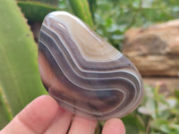 Polished Red Sashe River Agate Galet / Palmstones x 8 From Zimbabwe