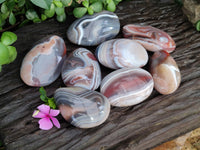 Polished Red Sashe River Agate Galet / Palmstones x 8 From Zimbabwe