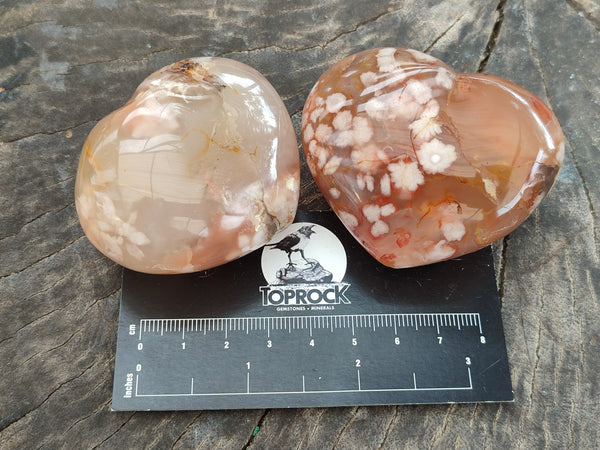 Polished Fossil Flower Agate Hearts x 6 From Antsahalova, Madagascar