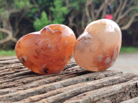 Polished Fossil Flower Agate Hearts x 6 From Antsahalova, Madagascar