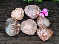 Polished Fossil Flower Agate Hearts x 6 From Antsahalova, Madagascar