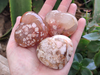 Polished Fossil Flower Agate Hearts x 6 From Antsahalova, Madagascar