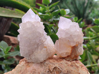 Natural Amethyst Spirit Quartz Clusters x 12 From Boekenhouthoek, South Africa