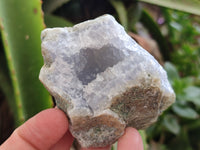 Natural Blue Lace Agate Geode Specimens x 12 From Nsanje, Malawi