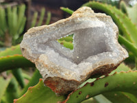 Natural Blue Lace Agate Geode Specimens x 12 From Nsanje, Malawi