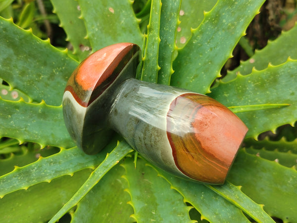 Polished Polychrome Jasper Mushrooms x 6 From Mahajanga, Madagascar