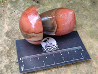 Polished Polychrome Jasper Mushrooms x 6 From Mahajanga, Madagascar