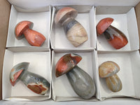 Polished Polychrome Jasper Mushrooms x 6 From Mahajanga, Madagascar