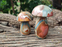 Polished Polychrome Jasper Mushrooms x 6 From Mahajanga, Madagascar