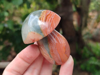 Polished Polychrome Jasper Mushrooms x 6 From Mahajanga, Madagascar