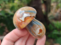 Polished Polychrome Jasper Mushrooms x 6 From Mahajanga, Madagascar