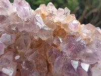 Natural Jacaranda Amethyst Quartz Clusters x 3 From Mumbwa, Zambia