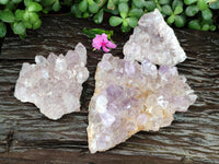 Natural Jacaranda Amethyst Quartz Clusters x 3 From Mumbwa, Zambia