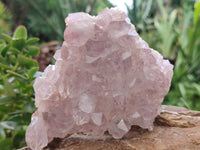 Natural Jacaranda Amethyst Quartz Clusters x 3 From Mumbwa, Zambia