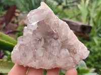 Natural Jacaranda Amethyst Quartz Clusters x 3 From Mumbwa, Zambia