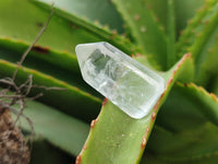 Polished Mini Clear Quartz Crystals x 70 From Madagascar