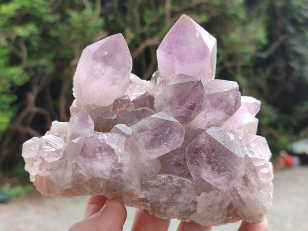 Natural Jacaranda Amethyst Quartz Clusters x 3 From Mumbwa, Zambia