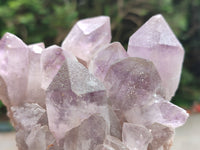 Natural Jacaranda Amethyst Quartz Clusters x 3 From Mumbwa, Zambia