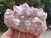 Natural Jacaranda Amethyst Quartz Clusters x 3 From Mumbwa, Zambia