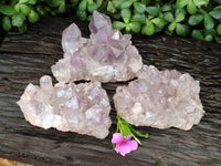 Natural Jacaranda Amethyst Quartz Clusters x 3 From Mumbwa, Zambia