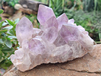 Natural Jacaranda Amethyst Quartz Clusters x 3 From Mumbwa, Zambia