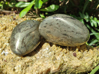 Polished Rare Pharaoh Stone Pyrite in Basalt Free Forms x 5 Iron Duke Mine, Zimbabwe