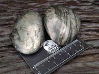 Polished Rare Pharaoh Stone Pyrite in Basalt Free Forms x 5 Iron Duke Mine, Zimbabwe