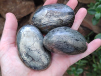 Polished Rare Pharaoh Stone Pyrite in Basalt Free Forms x 5 Iron Duke Mine, Zimbabwe