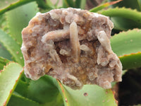 Natural Fairy Spirit Quartz Clusters x 12 From Boekenhouthoek, South Africa