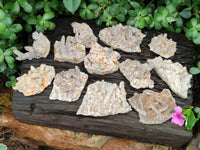 Natural Fairy Spirit Quartz Clusters x 12 From Boekenhouthoek, South Africa