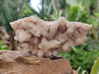 Natural Fairy Spirit Quartz Clusters x 12 From Boekenhouthoek, South Africa