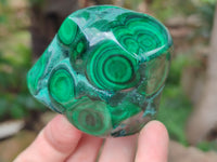 Polished Flower Banded Malachite Free Forms x 6 From Congo