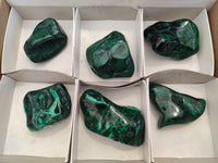 Polished Flower Banded Malachite Free Forms x 6 From Congo