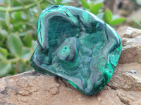 Polished Flower Banded Malachite Free Forms x 6 From Congo