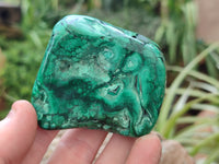 Polished Flower Banded Malachite Free Forms x 6 From Congo